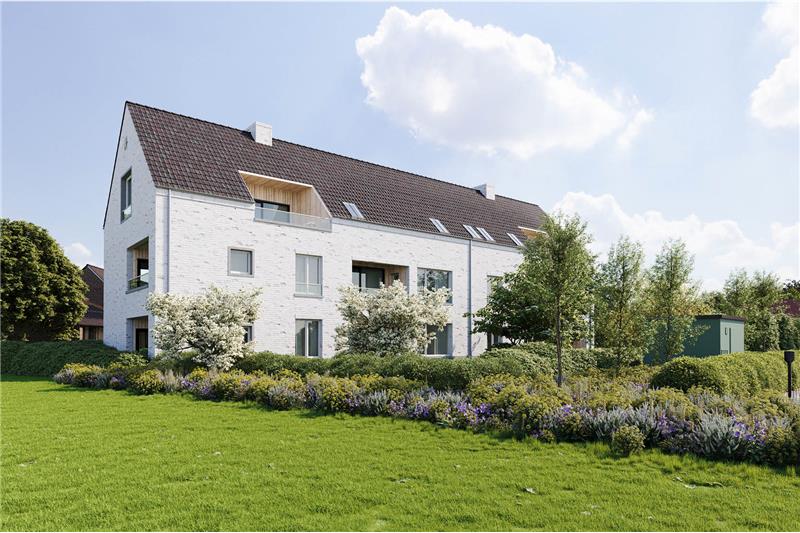 Jones Construct - DE STER - ZOERSEL